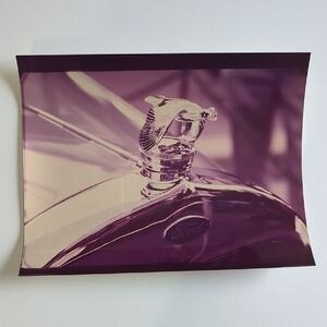 Photograph Of Vintage Flying Bird Hood Ornament On A Classic Ford Chrome Picture